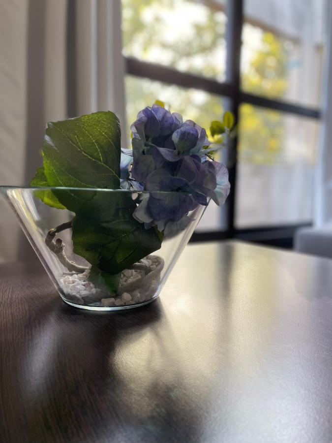 Dg Apartment - Le Relais Du Lac, Proche Disneyland Paris 로그니스 외부 사진